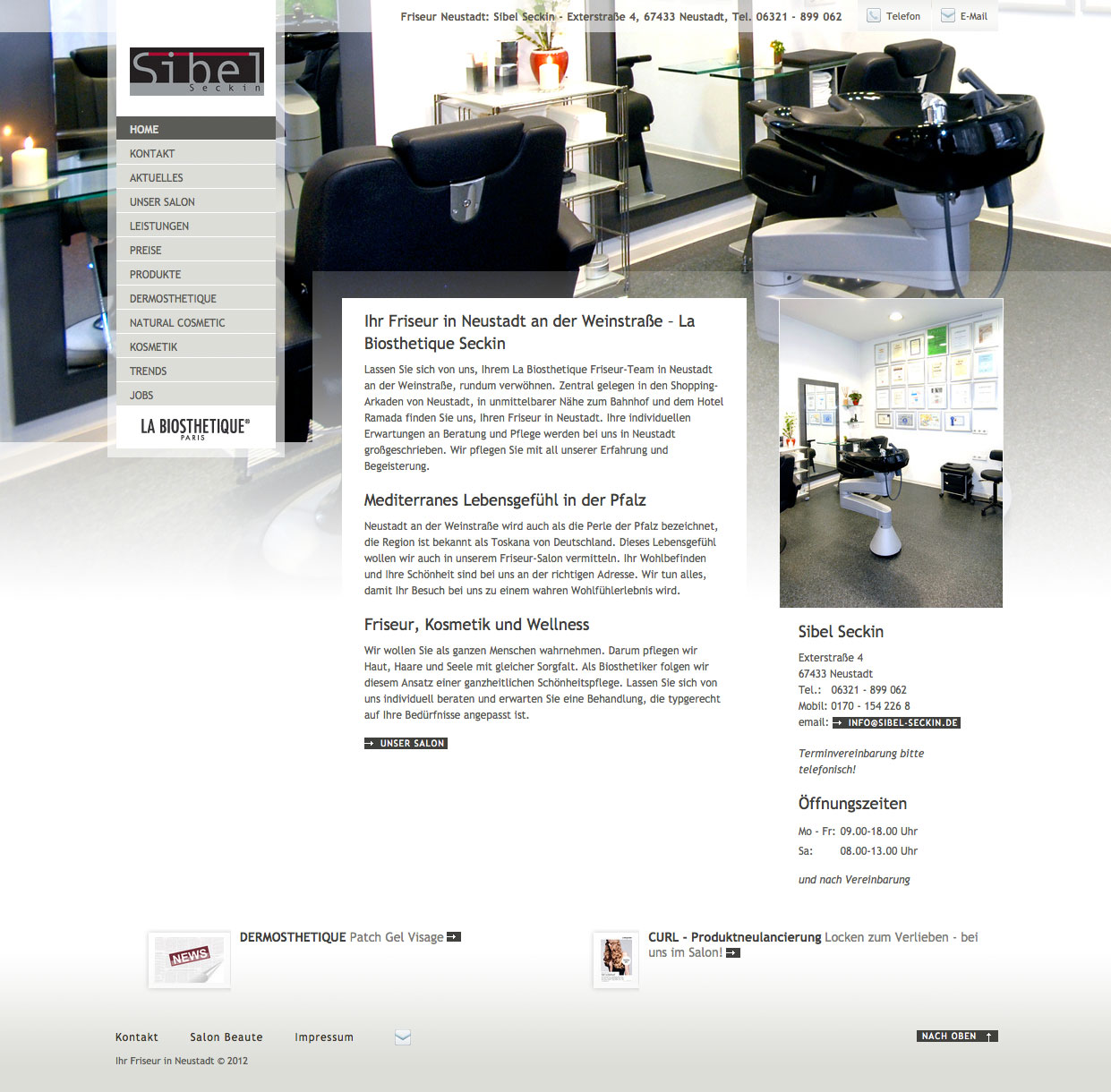 Screenshot der Website von Sibel Seckin