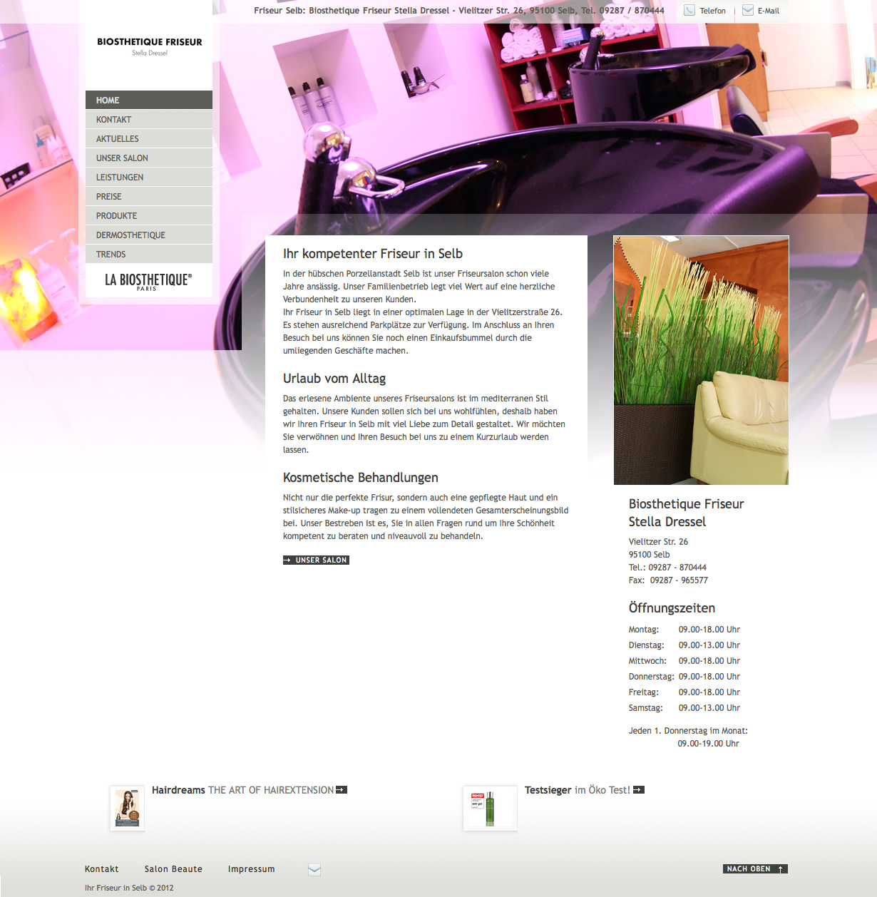 Screenshot der Website von Stella Dressel
