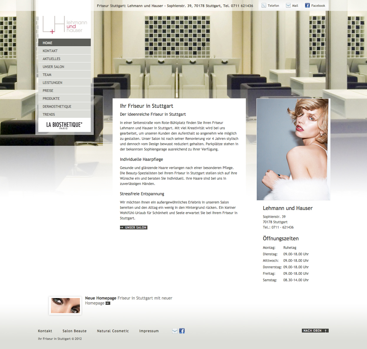 Screenshot der Website von Lehmann und Hauser