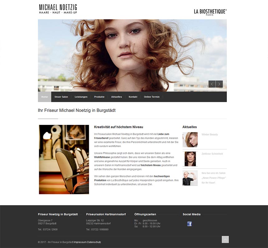 Screenshot der Website von Michael Noetzig