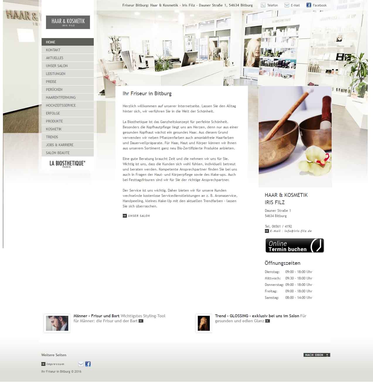 Screenshot der Website von Haar & Kosmetik - Iris Filz